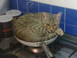 Pronto per essere cucinato